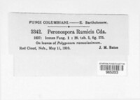 Image Associated With the Occurence